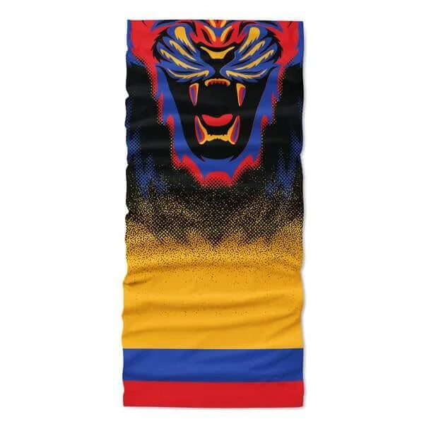 Armenia Flag Face Bandana