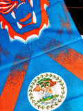 Belize Flag Face Bandana