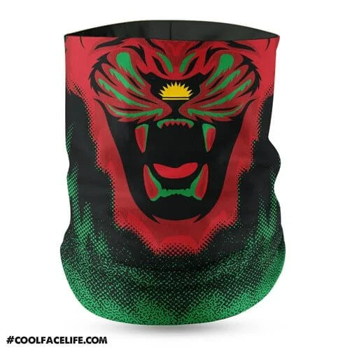 Biafra Flag Face Bandana